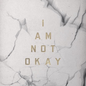 Jelly Roll — I Am Not Okay