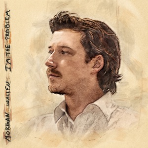 Morgan Wallen — Just In Case