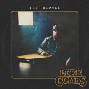 Luke Combs — Days Like These