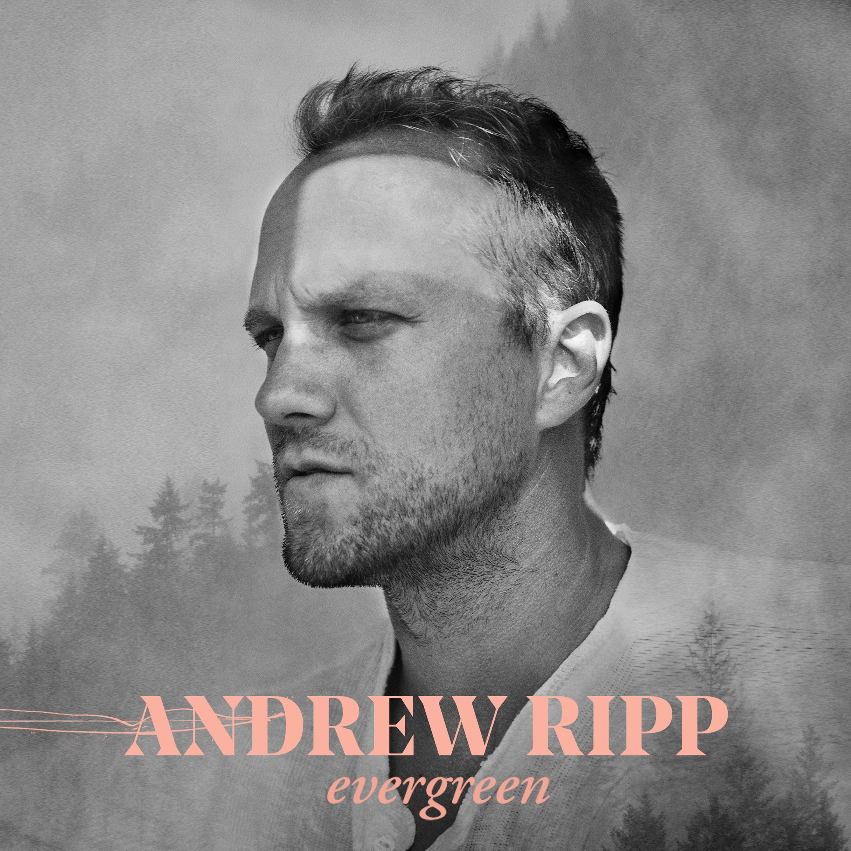 Andrew Ripp — Jericho