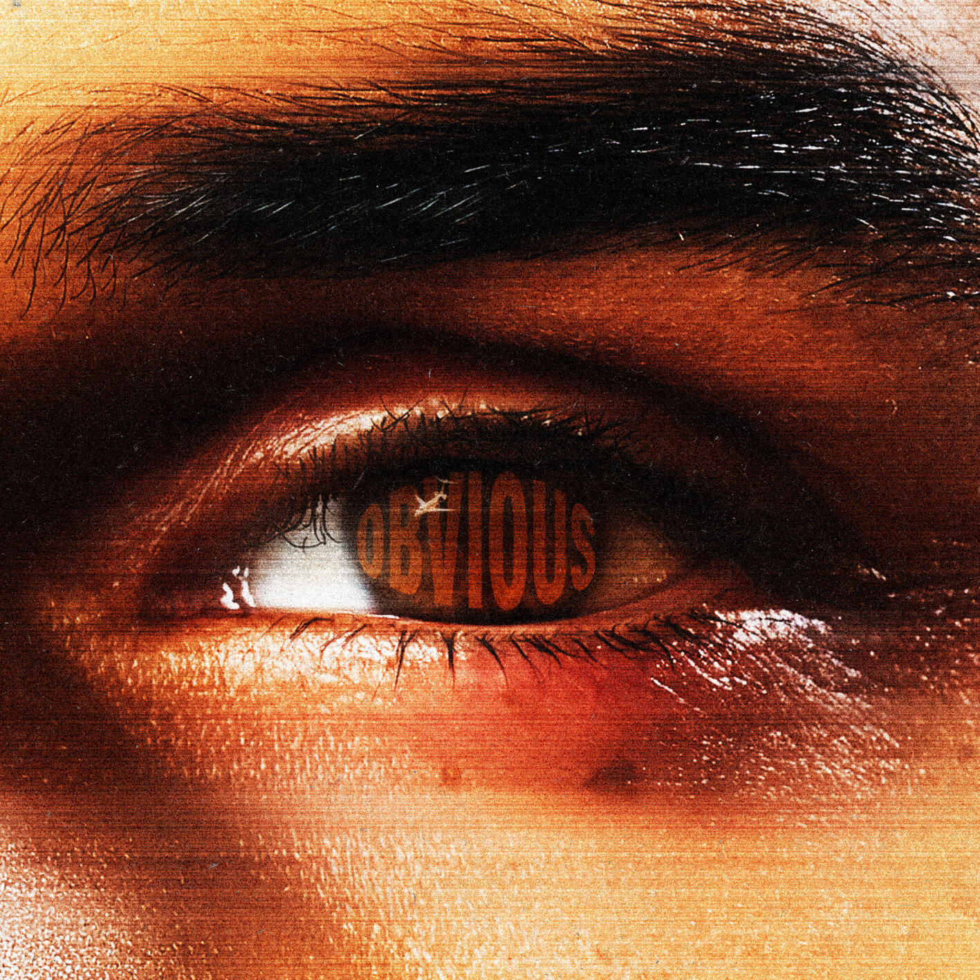 Chris Brown — Obvious