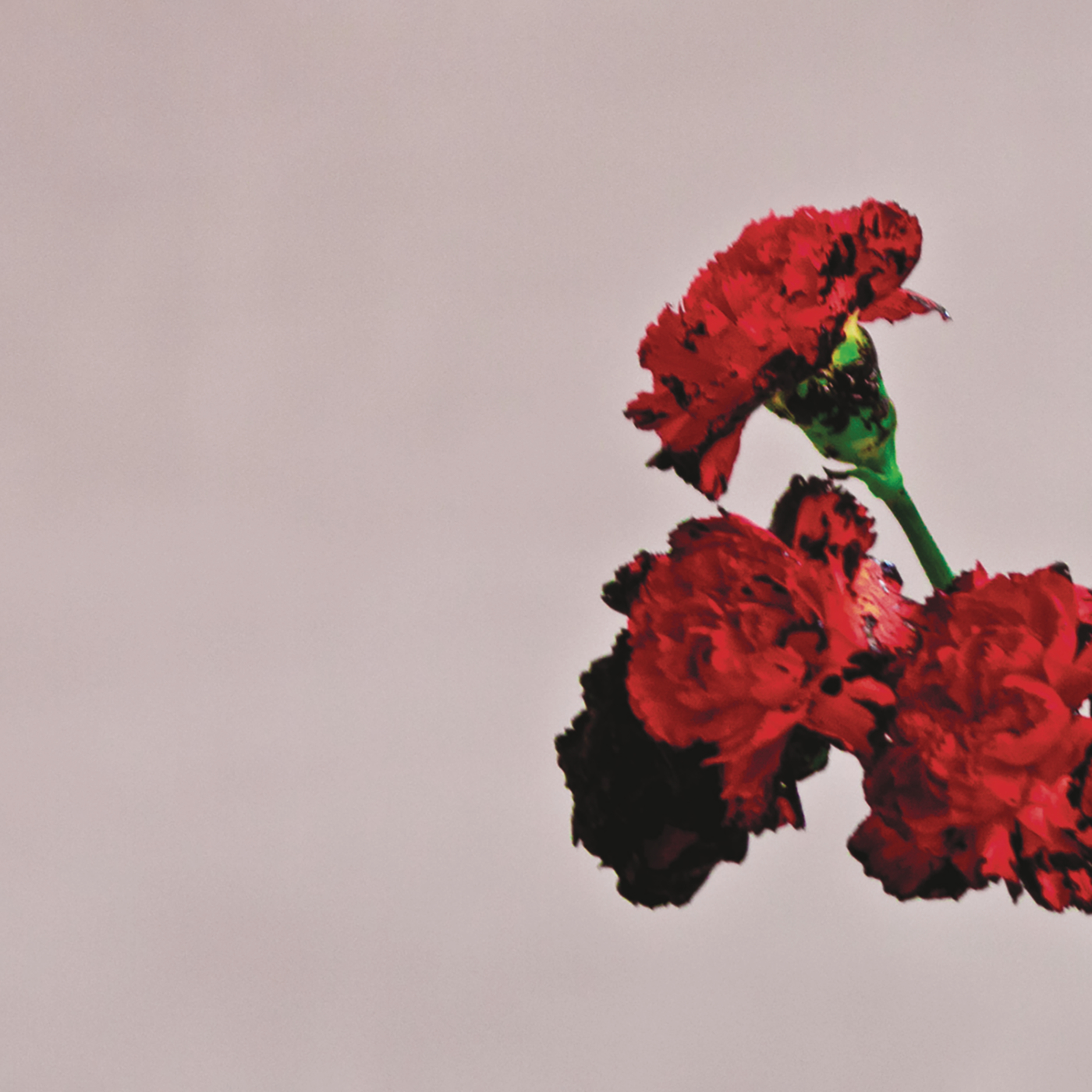 John Legend — All of Me
