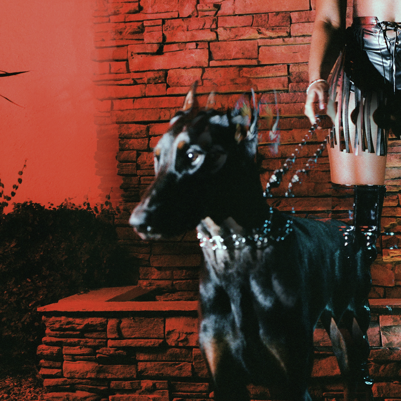 Leon Thomas — MUTT