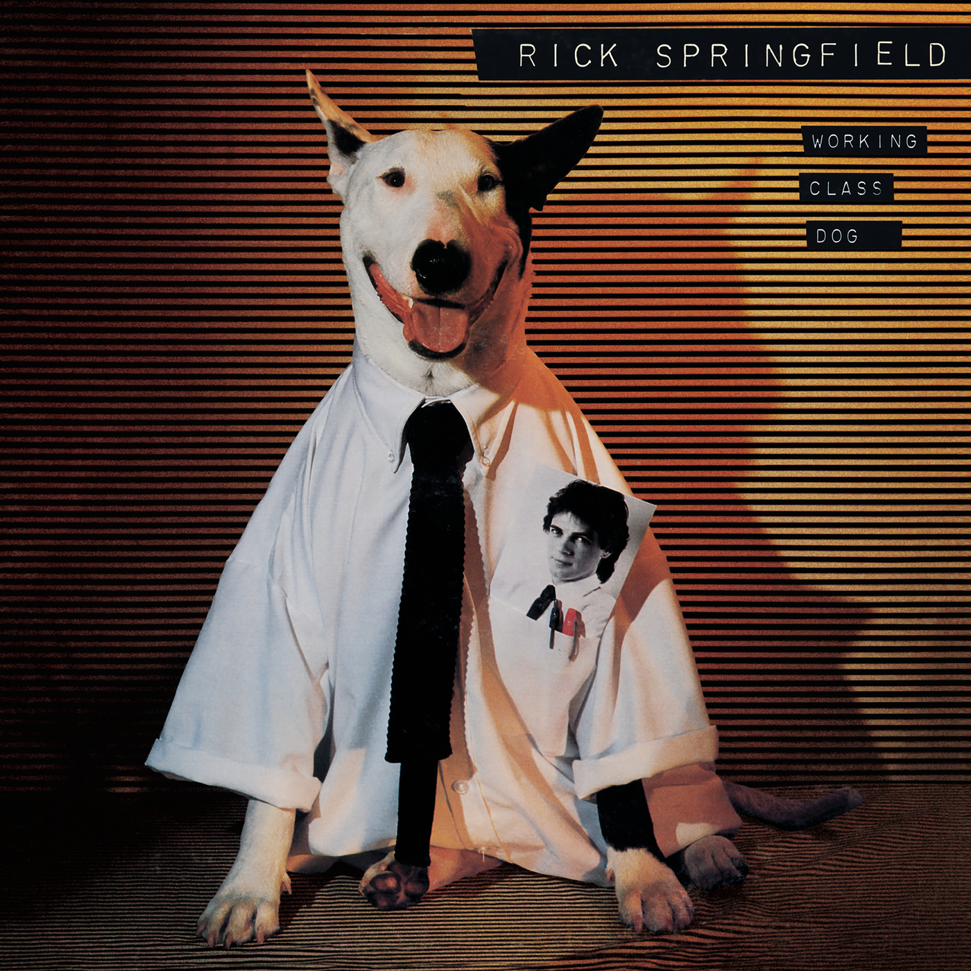 Rick Springfield — Jessie's Girl
