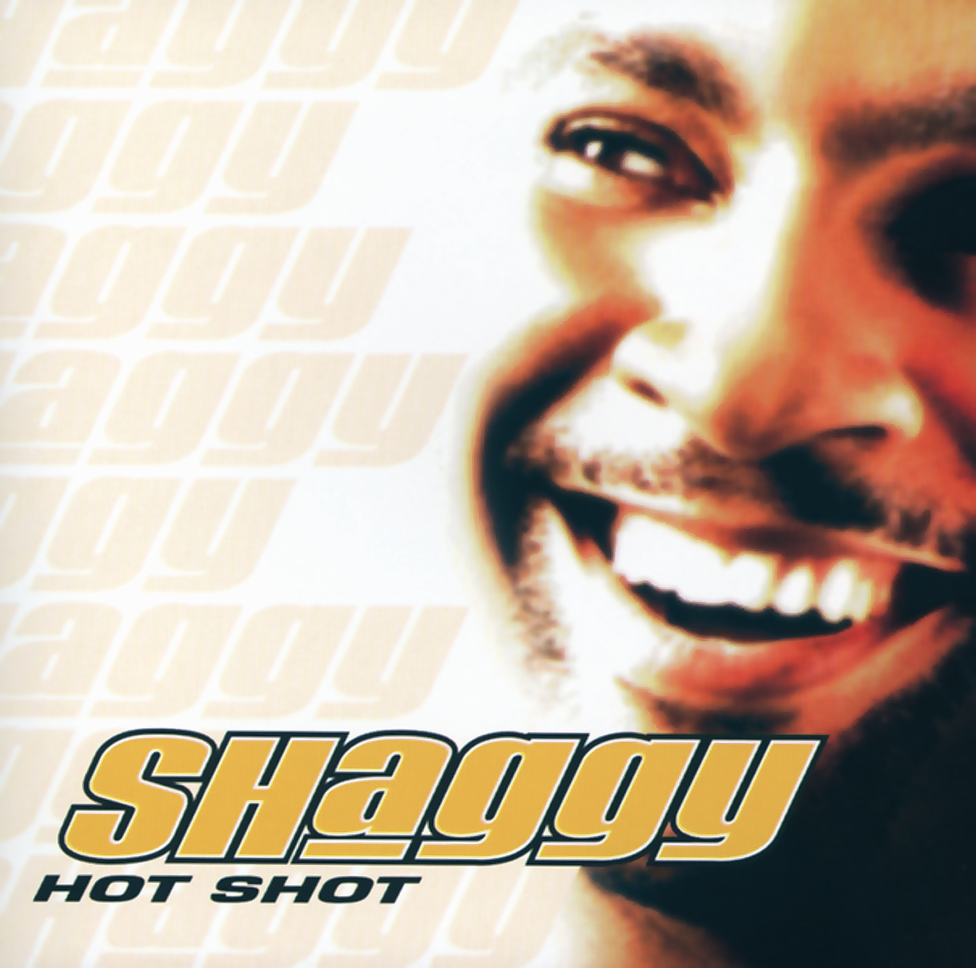 Shaggy feat. Ricardo Ducent — It Wasn't Me