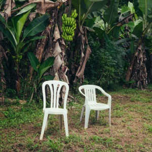 Bad Bunny — NUEVAYoL